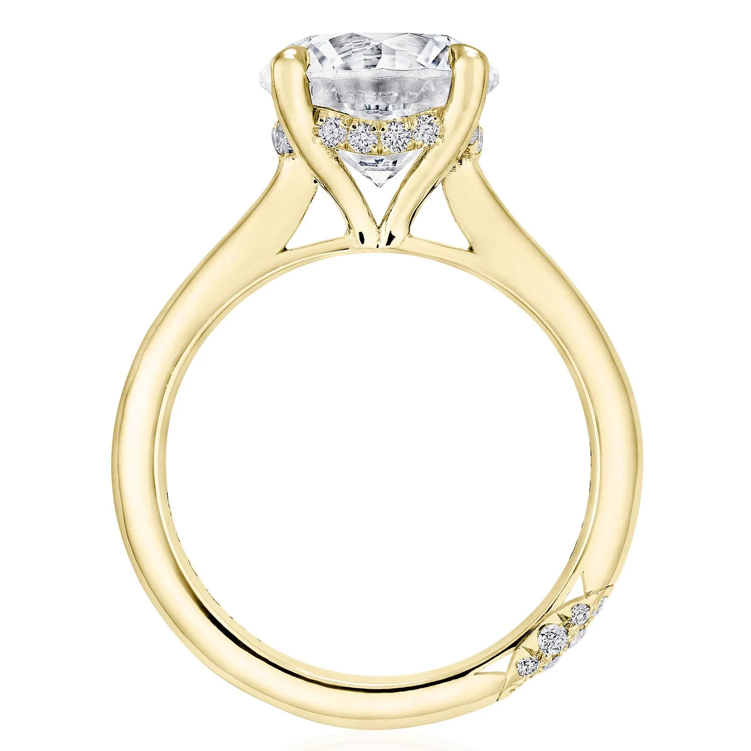 Hidden Halo Engagement Ring - Image 5